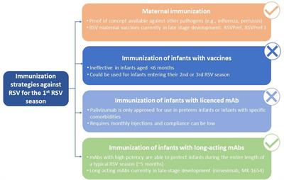 Frontiers RSV Prevention In All Infants Which Is The Most Preferable   880368 Thumb 400 